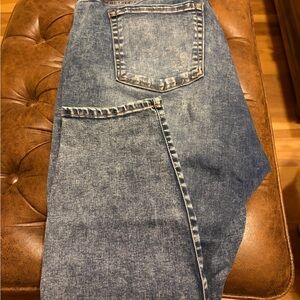 Lane Bryant Classic Blue Jeans